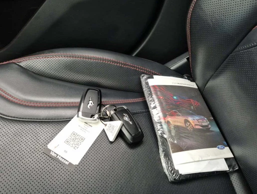 Ford Mustang Mach-E - Afbeelding 22 van 22