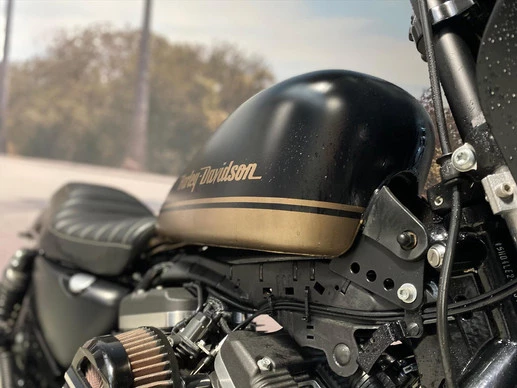 Harley-Davidson Iron - Afbeelding 7 van 12