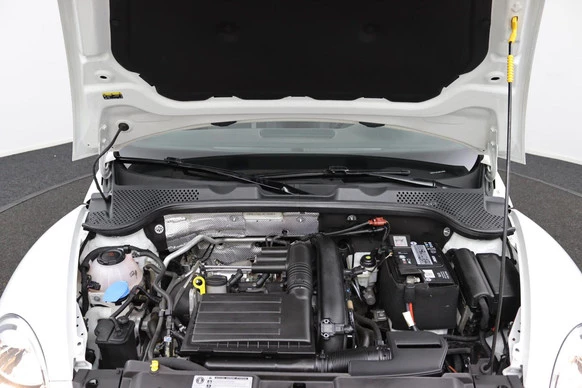 Volkswagen Beetle - Afbeelding 30 van 30
