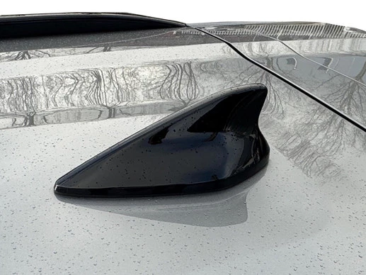 Kia Niro EV - Afbeelding 10 van 26