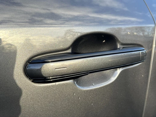 Lexus RX - Afbeelding 18 van 25