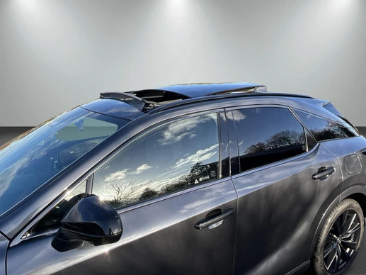 Lexus RX - Afbeelding 19 van 25