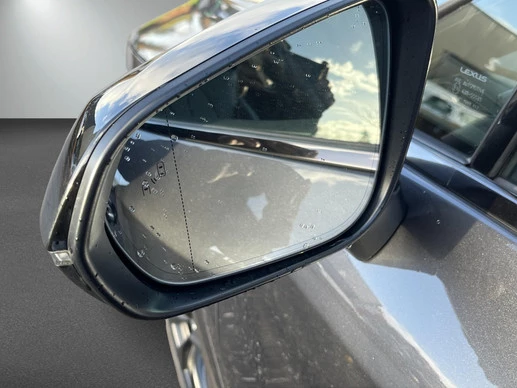 Lexus RX - Afbeelding 20 van 25