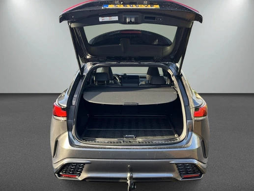 Lexus RX - Afbeelding 23 van 25