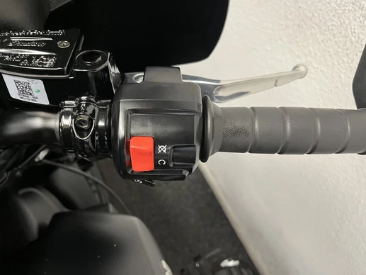 Indian Scout - Afbeelding 22 van 22