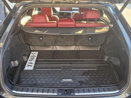 Lexus RX - Afbeelding 13 van 30