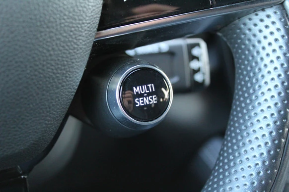 Renault Espace - Afbeelding 20 van 30