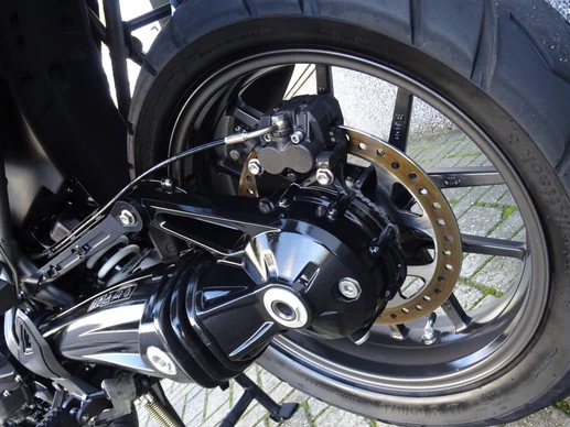 Triumph Tiger - Afbeelding 15 van 17