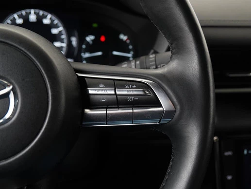 Mazda MX-30 - Afbeelding 10 van 30