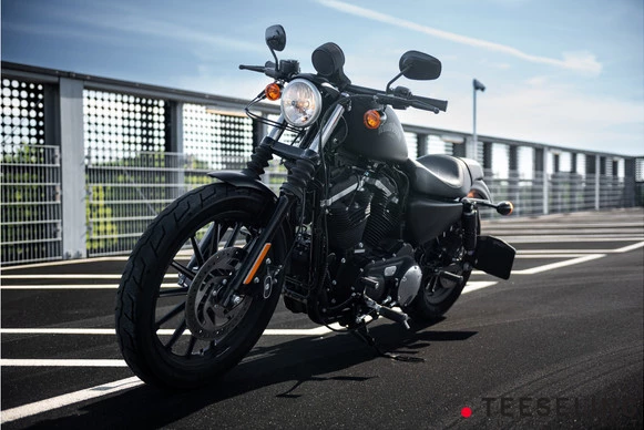 Harley-Davidson Sportster - Afbeelding 1 van 18