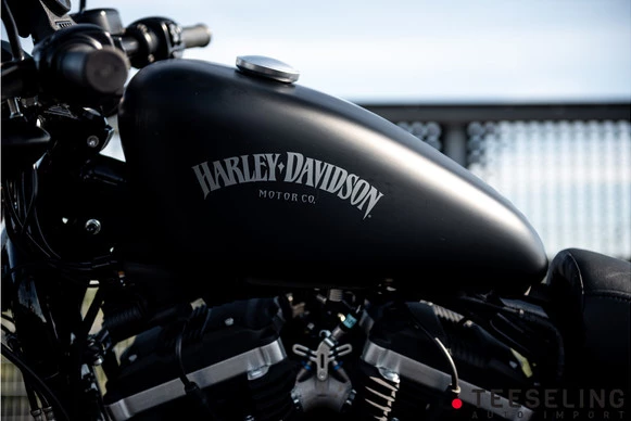 Harley-Davidson Sportster - Afbeelding 3 van 18