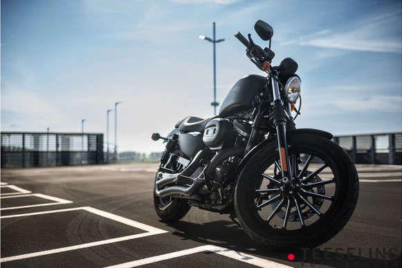 Harley-Davidson Sportster - Afbeelding 4 van 18