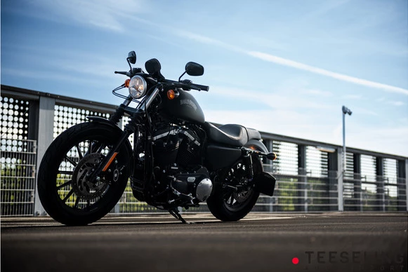 Harley-Davidson Sportster - Afbeelding 6 van 18