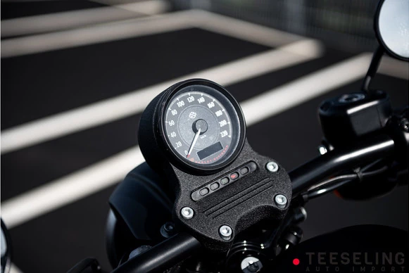 Harley-Davidson Sportster - Afbeelding 11 van 18