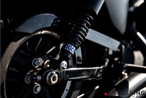 Harley-Davidson Sportster - Afbeelding 14 van 18