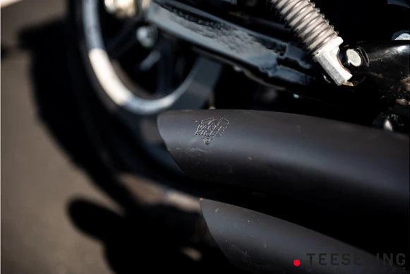 Harley-Davidson Sportster - Afbeelding 15 van 18