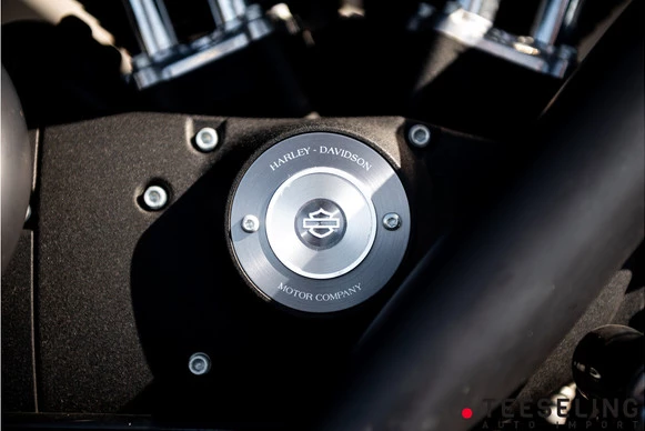 Harley-Davidson Sportster - Afbeelding 16 van 18