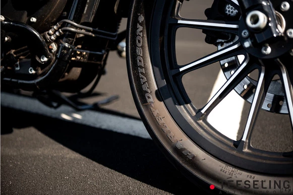 Harley-Davidson Sportster - Afbeelding 17 van 18