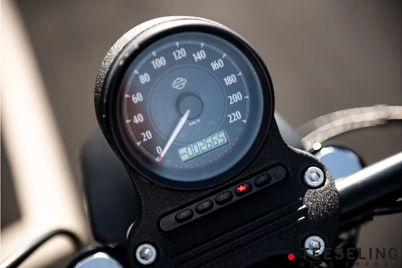 Harley-Davidson Sportster - Afbeelding 18 van 18