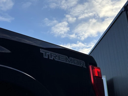 Ford F-250 - Afbeelding 7 van 30