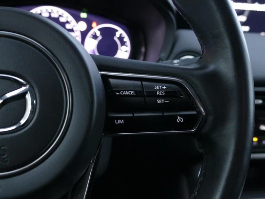 Mazda CX-60 - Afbeelding 17 van 29