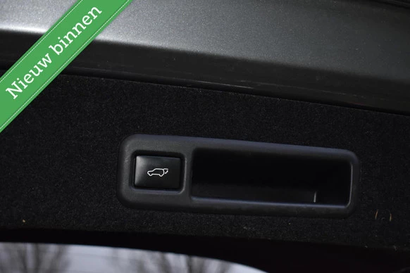 Lexus RX - Afbeelding 25 van 30