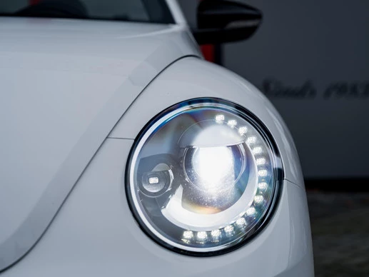 Volkswagen Beetle - Afbeelding 3 van 30