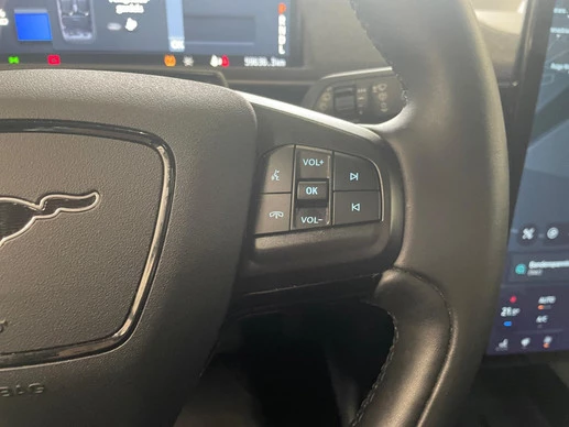 Ford Mustang Mach-E - Afbeelding 20 van 30