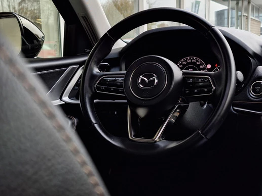 Mazda CX-60 - Afbeelding 24 van 30
