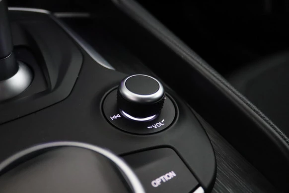 Alfa Romeo Giulia - Afbeelding 17 van 30