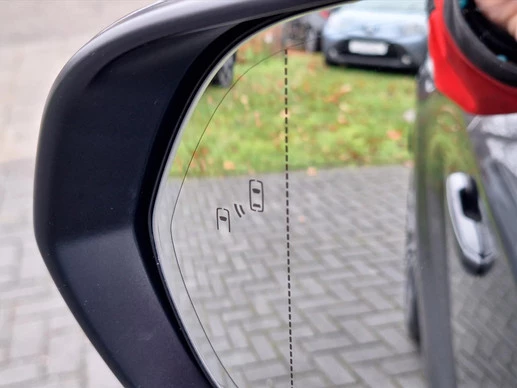 Lexus RX - Afbeelding 19 van 30