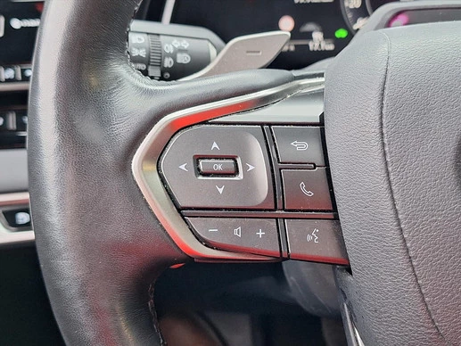 Lexus RX - Afbeelding 20 van 30