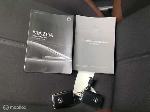 Mazda MX-30 - Afbeelding 11 van 13
