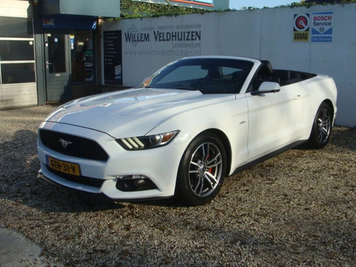 Ford Mustang - Afbeelding 1 van 20