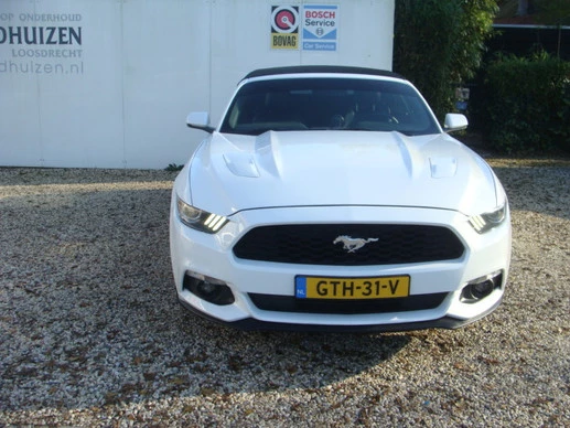 Ford Mustang - Afbeelding 7 van 20