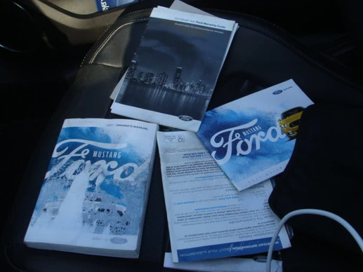 Ford Mustang - Afbeelding 17 van 20