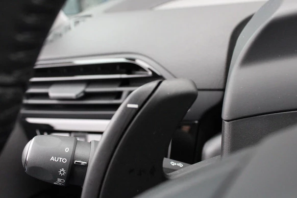 Citroën C4 Spacetourer - Afbeelding 28 van 30