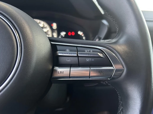 Mazda MX-30 - Afbeelding 16 van 23