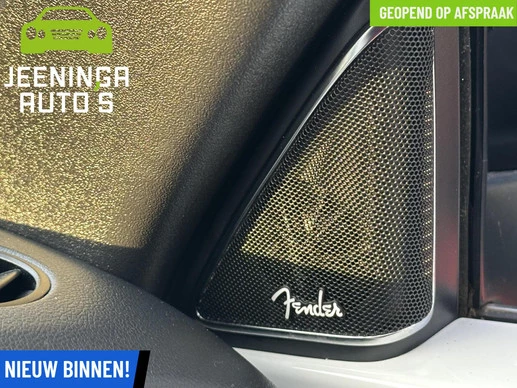 Volkswagen Beetle - Afbeelding 8 van 25