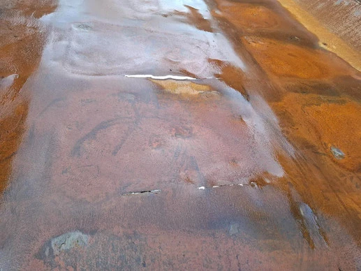 Volvo FMX-460 - Afbeelding 19 van 30