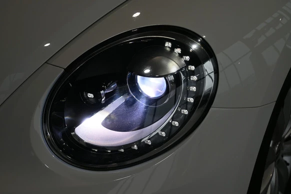 Volkswagen Beetle - Afbeelding 25 van 30