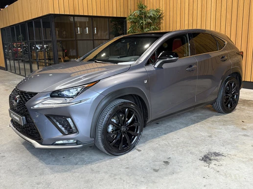 Lexus NX - Afbeelding 1 van 30
