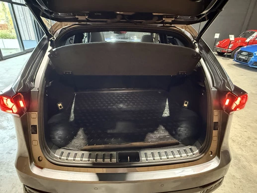Lexus NX - Afbeelding 10 van 30