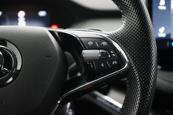 Škoda Enyaq iV - Afbeelding 14 van 29