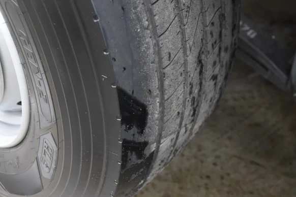 Scania S - Afbeelding 14 van 18