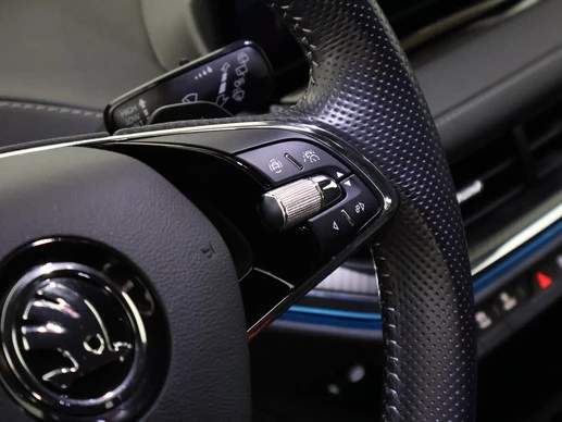 Škoda Enyaq iV - Afbeelding 14 van 30