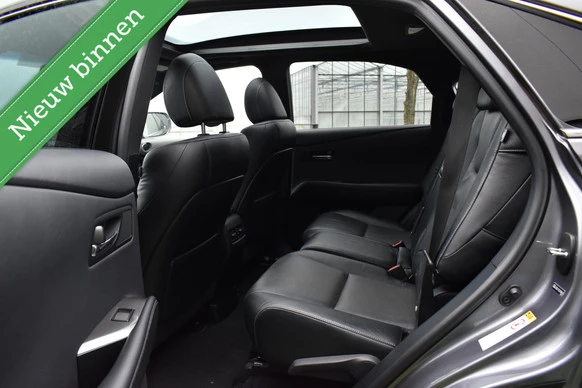 Lexus RX - Afbeelding 13 van 30