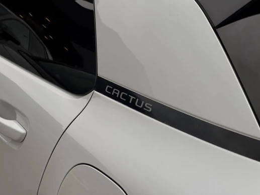 Citroën C4 Cactus - Afbeelding 24 van 30