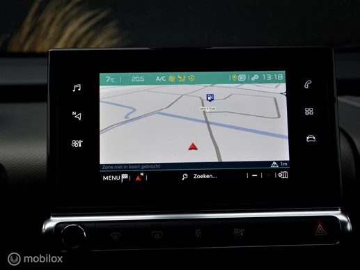 Citroën C4 Cactus - Afbeelding 12 van 26