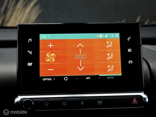 Citroën C4 Cactus - Afbeelding 15 van 26